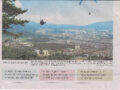 창원 시보 기사