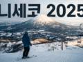 2025년도 니세코지역 스키영상